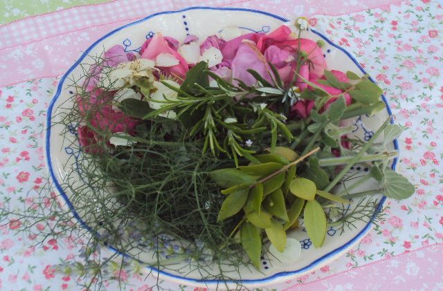 Raber Kräutertage  Dani Rapskog bilja   Rab Herb days